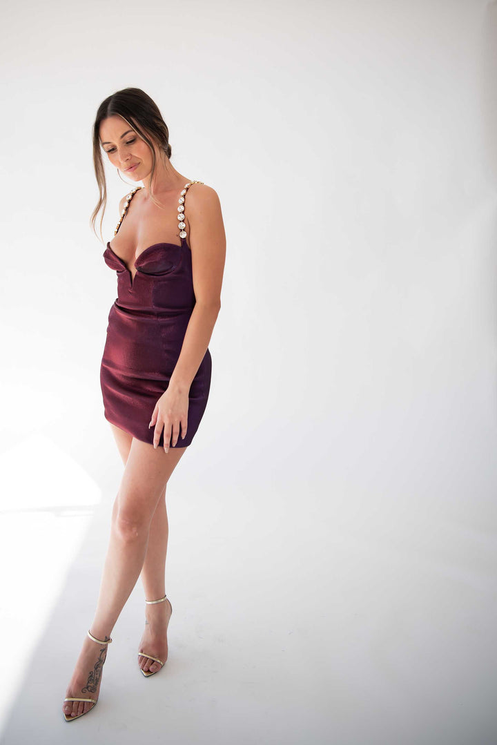 Area Mussel Cup Mini Dress RRP $1703